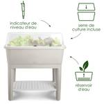 noa potager sur pied gris chaud